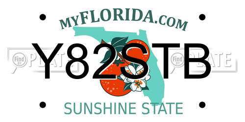 Y82STB Florida License Plate