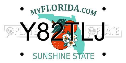 Y82TLJ Florida License Plate