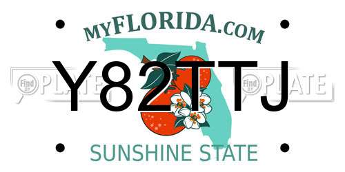 Y82TTJ Florida License Plate