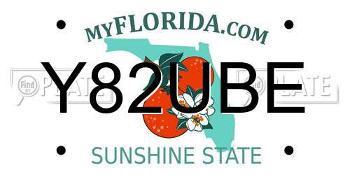 Y82UBE Florida License Plate
