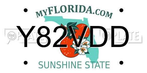 Y82VDD Florida License Plate