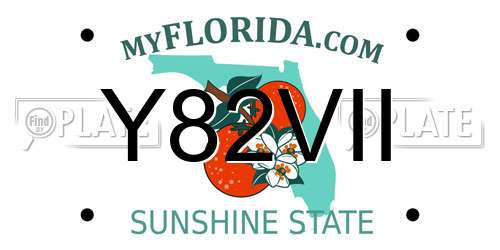Y82VII Florida License Plate
