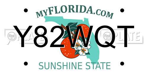 Y82WQT Florida License Plate
