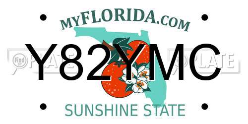 Y82YMC Florida License Plate