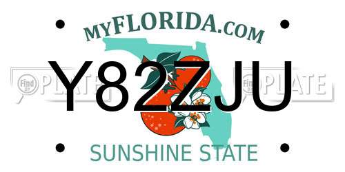 Y82ZJU Florida License Plate