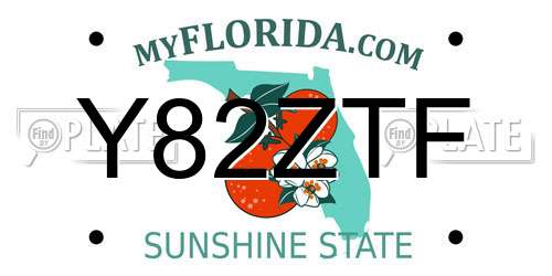 Y82ZTF Florida License Plate