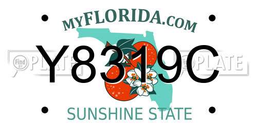 Y8319C Florida License Plate