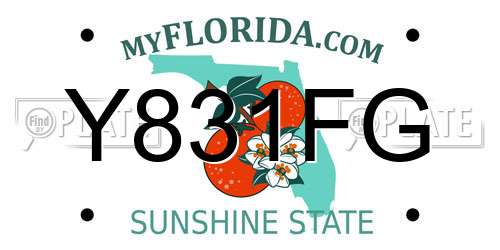 Y831FG Florida License Plate