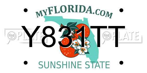 Y831TT Florida License Plate