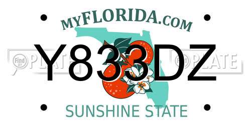 Y833DZ Florida License Plate