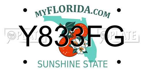 Y833FG Florida License Plate