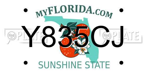 Y835CJ Florida License Plate