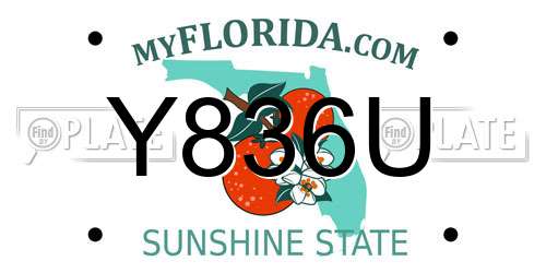 Y836U Florida License Plate