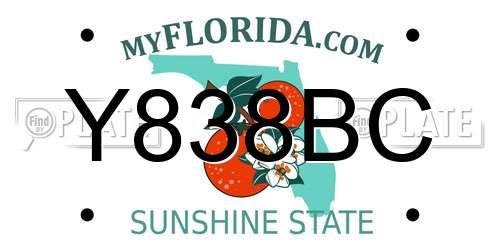 Y838BC Florida License Plate