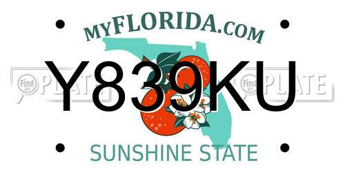 Y839KU Florida License Plate