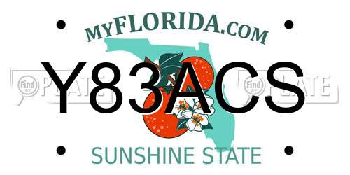 Y83ACS Florida License Plate