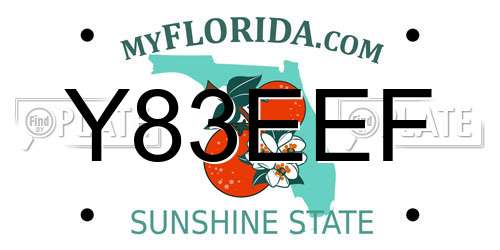 Y83EEF Florida License Plate