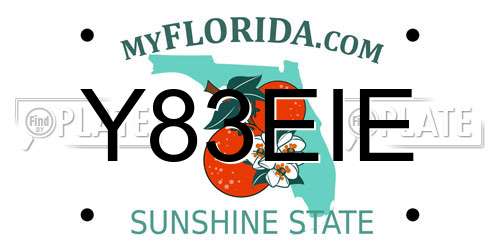 Y83EIE Florida License Plate