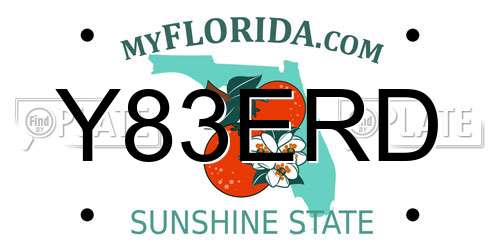 Y83ERD Florida License Plate