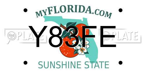 Y83FE Florida License Plate