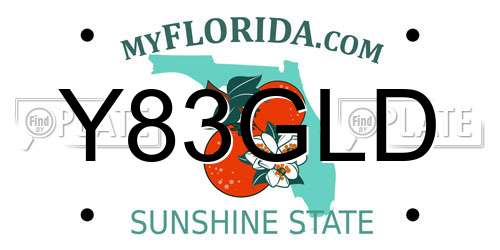 Y83GLD Florida License Plate