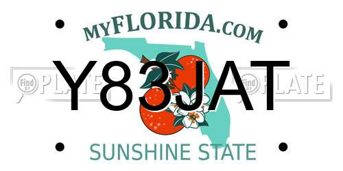 Y83JAT Florida License Plate