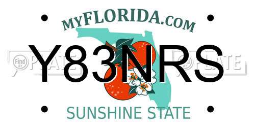 Y83NRS Florida License Plate