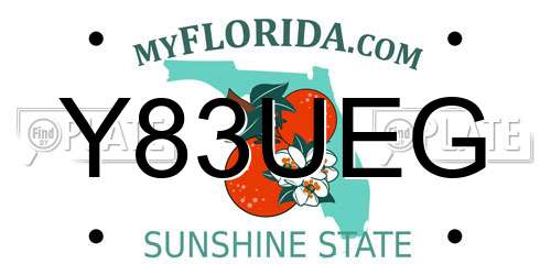 Y83UEG Florida License Plate