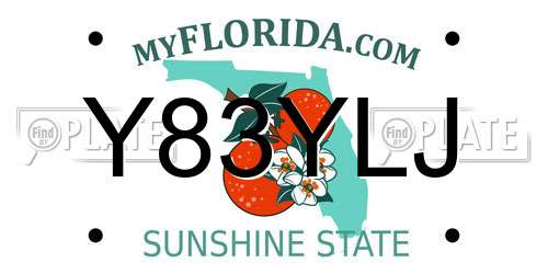 Y83YLJ Florida License Plate