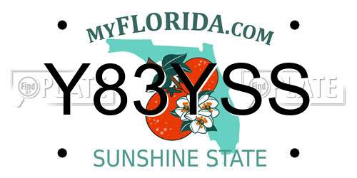Y83YSS Florida License Plate
