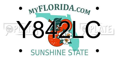 Y842LC Florida License Plate