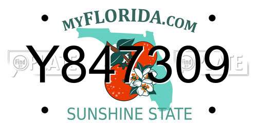 Y847309 Florida License Plate