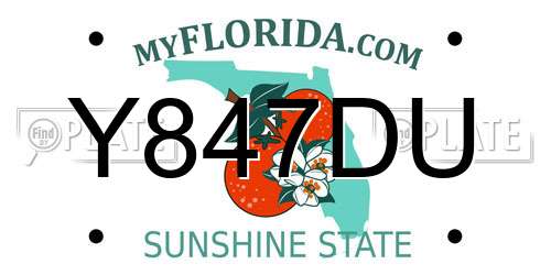 Y847DU Florida License Plate