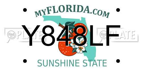 Y848LF Florida License Plate