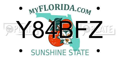 Y84BFZ Florida License Plate
