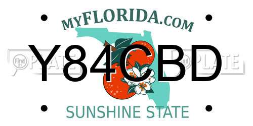 Y84CBD Florida License Plate