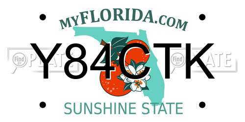 Y84CTK Florida License Plate