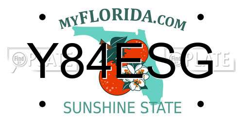 Y84ESG Florida License Plate