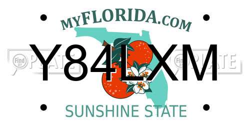 Y84LXM Florida License Plate