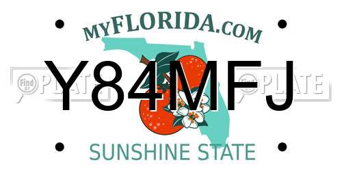 Y84MFJ Florida License Plate