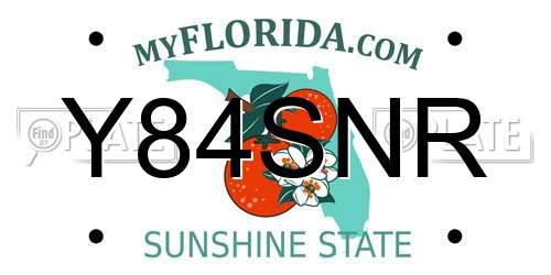 Y84SNR Florida License Plate
