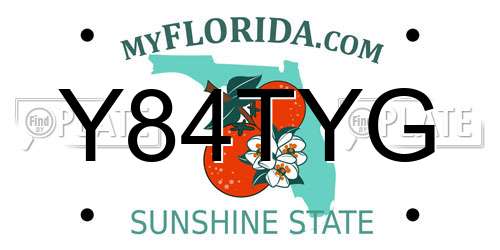 Y84TYG Florida License Plate
