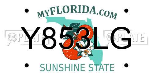 Y853LG Florida License Plate