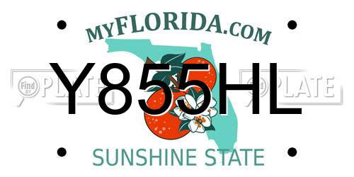 Y855HL Florida License Plate