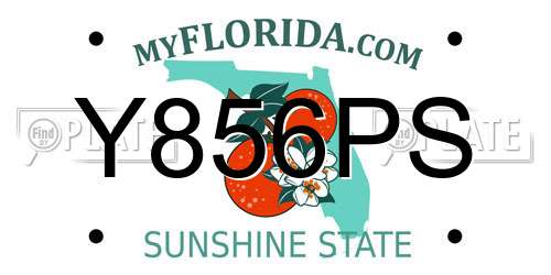 Y856PS Florida License Plate