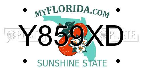 Y859XD Florida License Plate