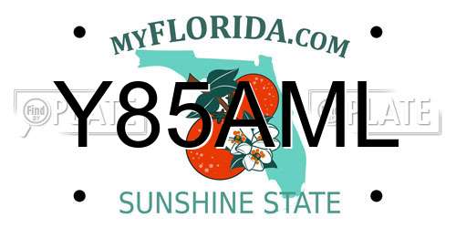Y85AML Florida License Plate