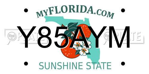 Y85AYM Florida License Plate