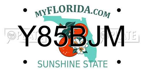 Y85BJM Florida License Plate