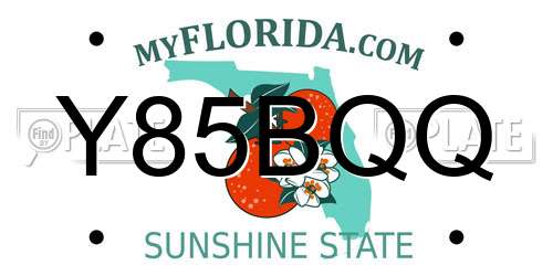 Y85BQQ Florida License Plate